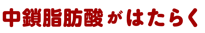 中鎖脂肪酸がはたらく